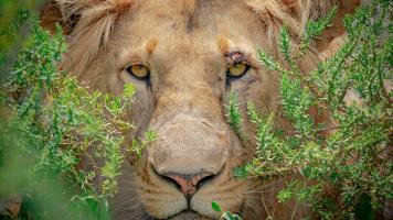African Photographic Safari, Part 2: 9 Recommendations for Your Photo Gear