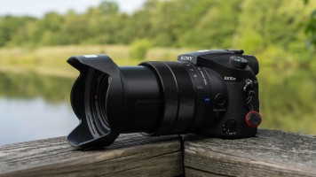 Bridge Cameras: The Best Point and Shoot for Wildlife Photographers
