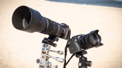 1-Inch Sensor Superzoom Cameras vs. Entry-Level Wildlife Lenses