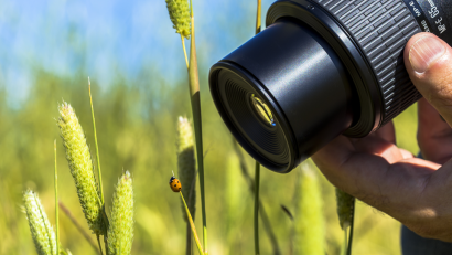 Macro Lens Buying Guide