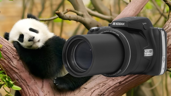 Kodak PIXPRO AZ528 Digital Camera