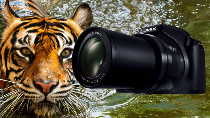 Panasonic LUMIX FZ80D Digital Camera