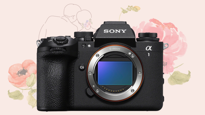 Sony a1 II Mirrorless Camera