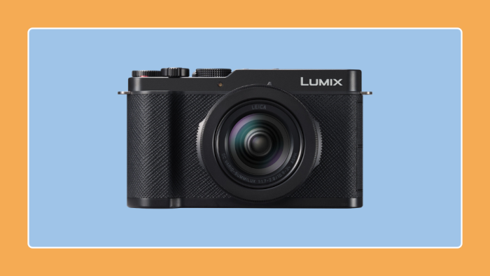Panasonic LUMIX L10 Digital Camera