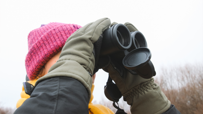 Birding/Wildlife Observation Birding/Wildlife Observation