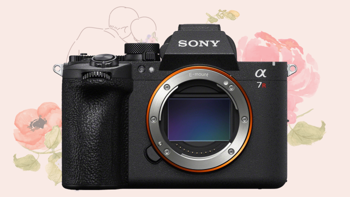 Sony a7R VI Mirrorless Camera