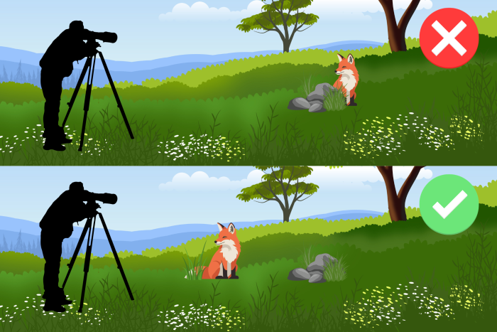 The closer we are to the subject relative to the background, the blurrier our background will appear. The closer we are to the subject relative to the background, the blurrier our background will appear.