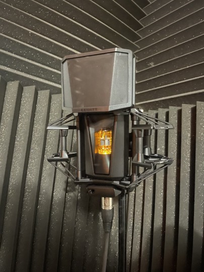 The PURE TUBE was smooth and impressively detailed on acoustic sound sources.