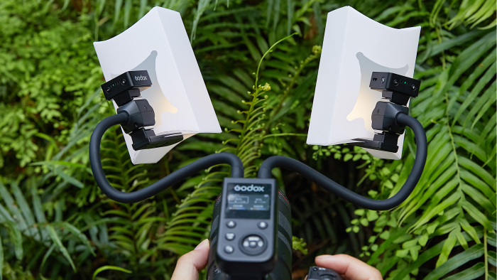 Top view of GODOX MA2 Flexible Macro Twin Light shooting macro photography in a tropical environment Top view of GODOX MA2 Flexible Macro Twin Light with diffuser boxes shooting macro photography in a tropical environment