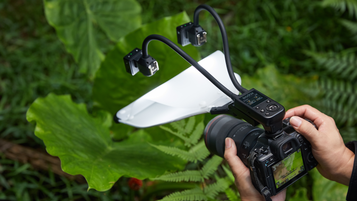 Top view of GODOX MA2 Flexible Macro Twin Light with diffuser panel shooting macro photography in a tropical environment Top view of GODOX MA2 Flexible Macro Twin Light with diffuser panel shooting macro photography in a tropical environment