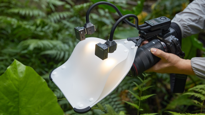 Side view of GODOX MA2 Flexible Macro Twin Light with diffuser panel shooting macro photography in a tropical environment Side view of GODOX MA2 Flexible Macro Twin Light with diffuser panel shooting macro photography in a tropical environment