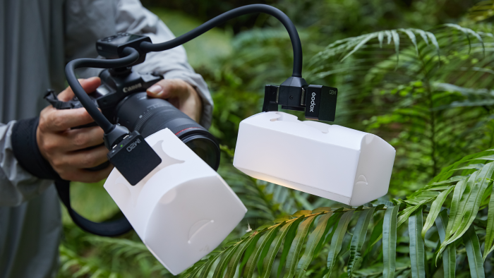 Side view of GODOX MA2 Flexible Macro Twin Light and diffuser boxes shooting macro photography in a tropical environment Side view of GODOX MA2 Flexible Macro Twin Light shooting macro photography in a tropical environment