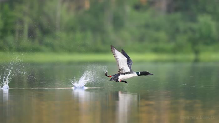 A slower shutter speed can add a sense of motion to an image, but there comes a point where even the subject won’t be sharp.