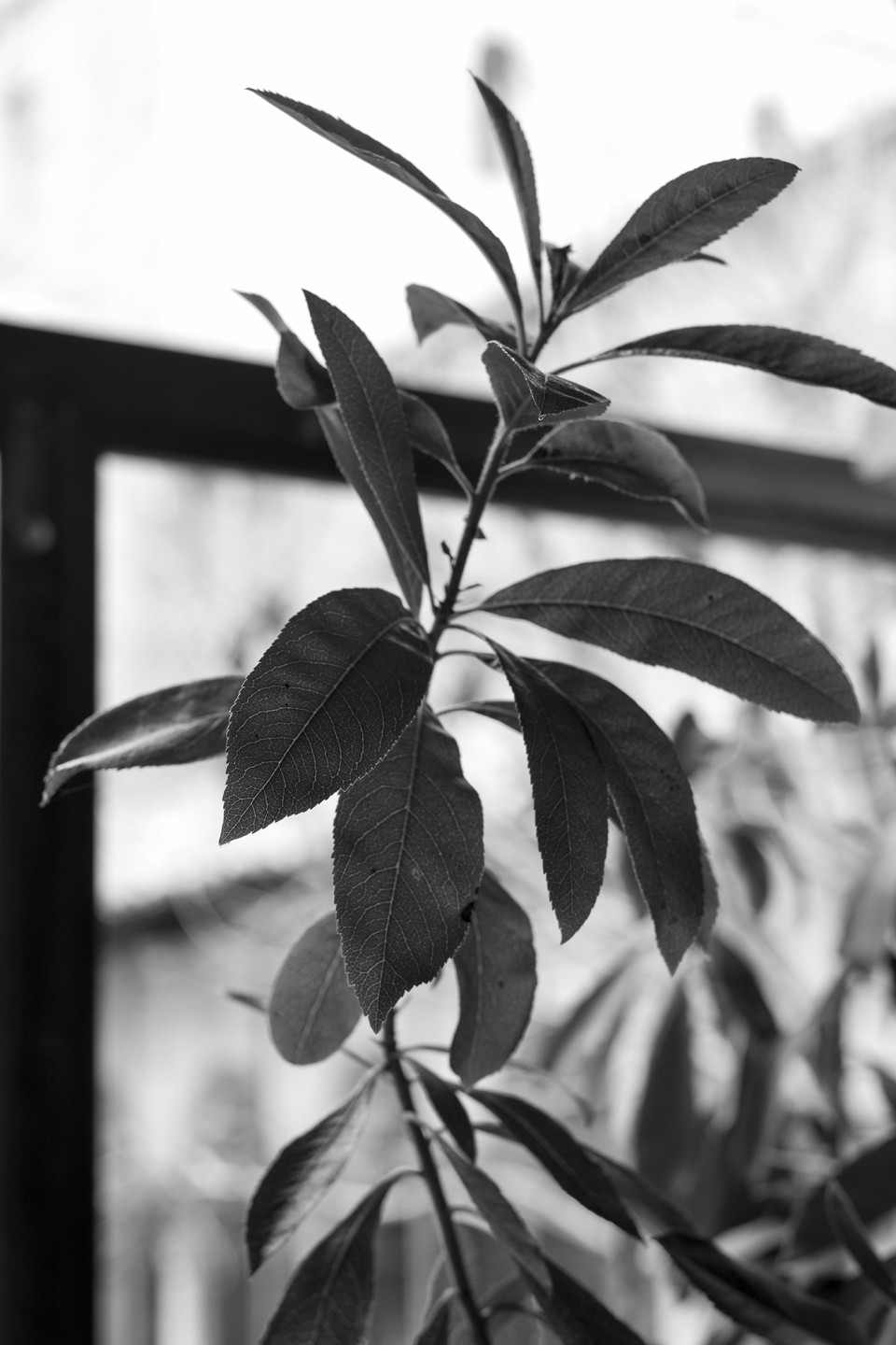 Wide dynamic range and high sharpness, taken with the smc PENTAX-FA 50mm f/1.4 lens Wide dynamic range and high sharpness, taken with the smc PENTAX-FA 50mm f/1.4 lens