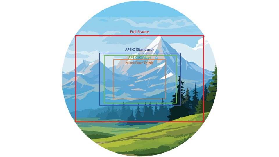 The above circle represents the image as projected from the rear of the lens. Each rectangle within the circle represents a different sized sensor. Notice how the smaller sensors see less of the image.