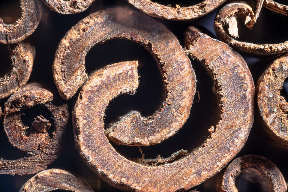 Cinnamon sticks look like an ancient form of decorative writing.