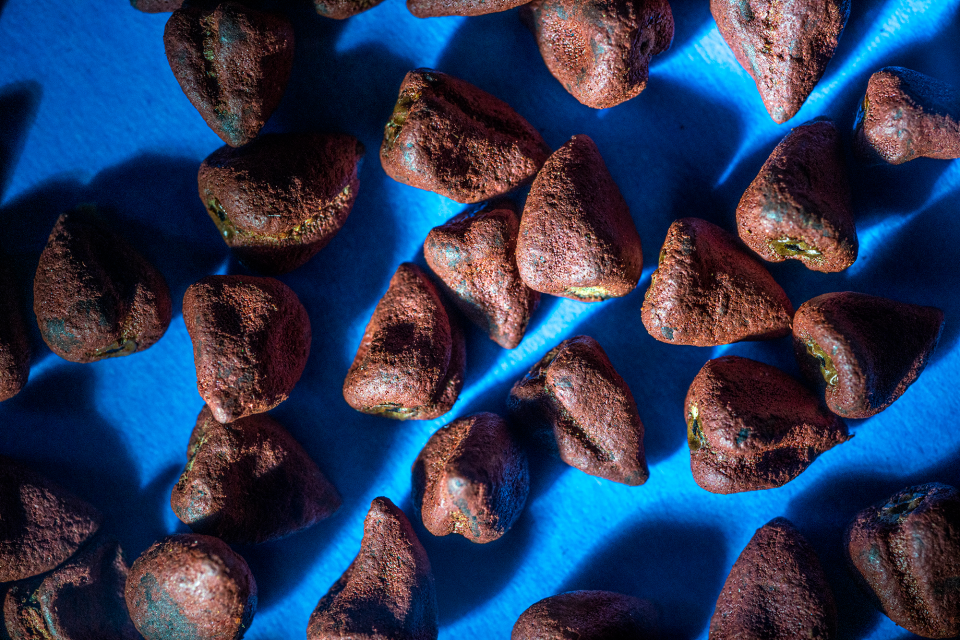 Same annatto seeds, same background as the previous photograph of Annatto seeds, but a harder, cooler light from a flashlight in place of the softer, warmer LED lamp head creates a totally different mood and feeling than the previous photograph of the same subject.