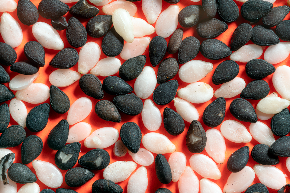Black and white sesame seeds scattered on a sheet of orange poster board.