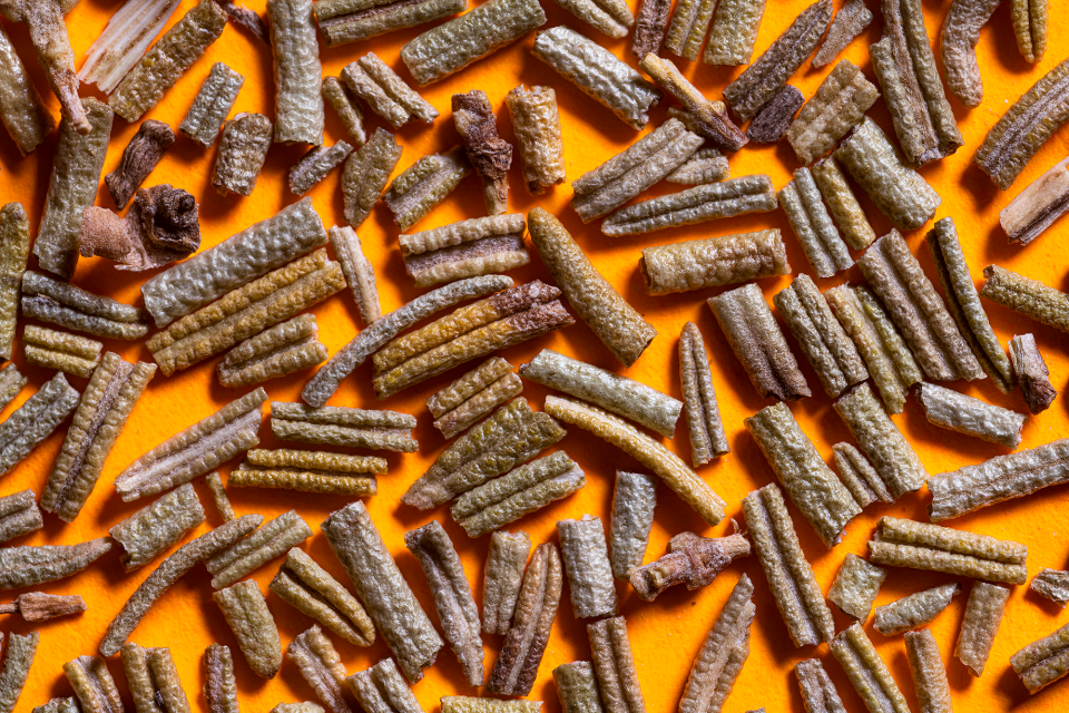 Dried rosemary on a yellow-gold background
