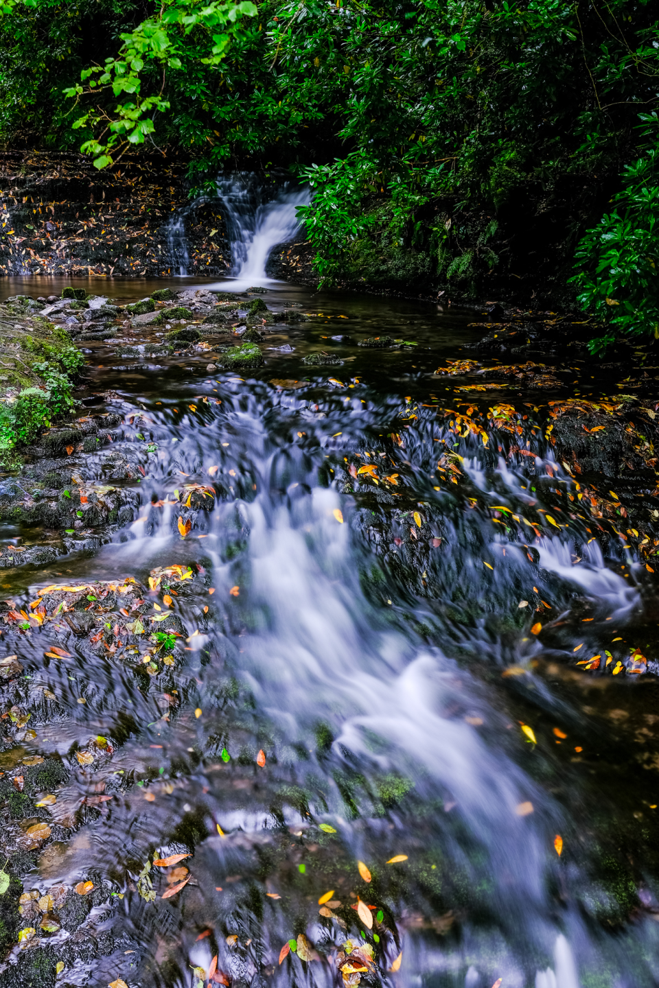 Glencar Waterfall, County Sligo. Velvia VIVID film simulation.