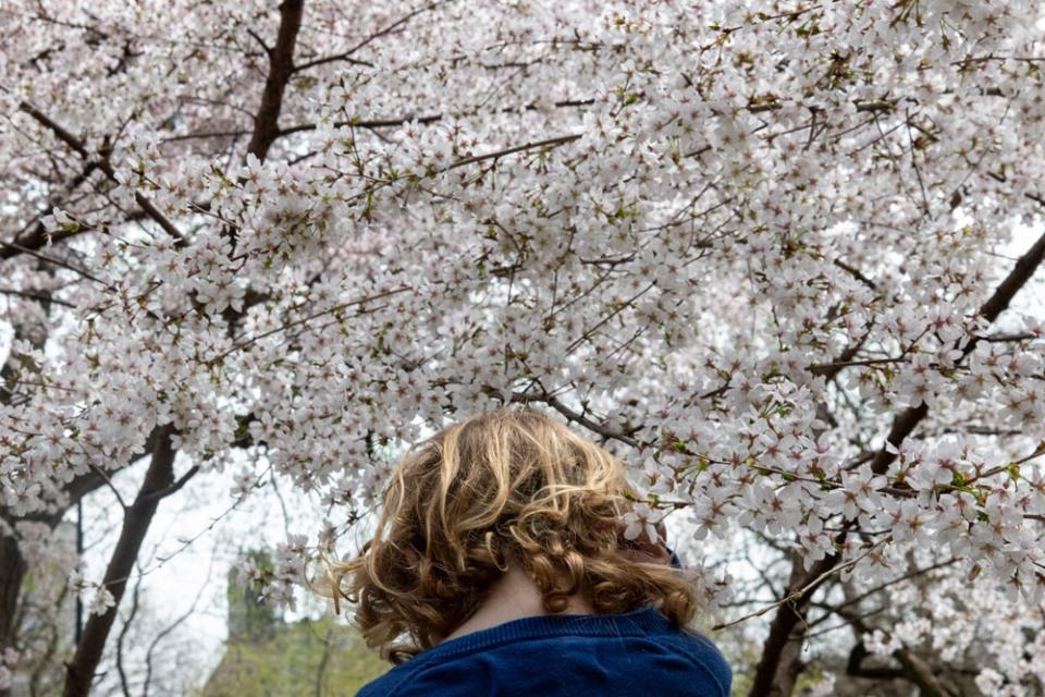 This spring, McClure and her daughter visited the cherry blossoms wherever they could around New York City. “They symbolize rebirth,” says McClure, “which seems appropriate as we emerge from this strange pandemic year.”