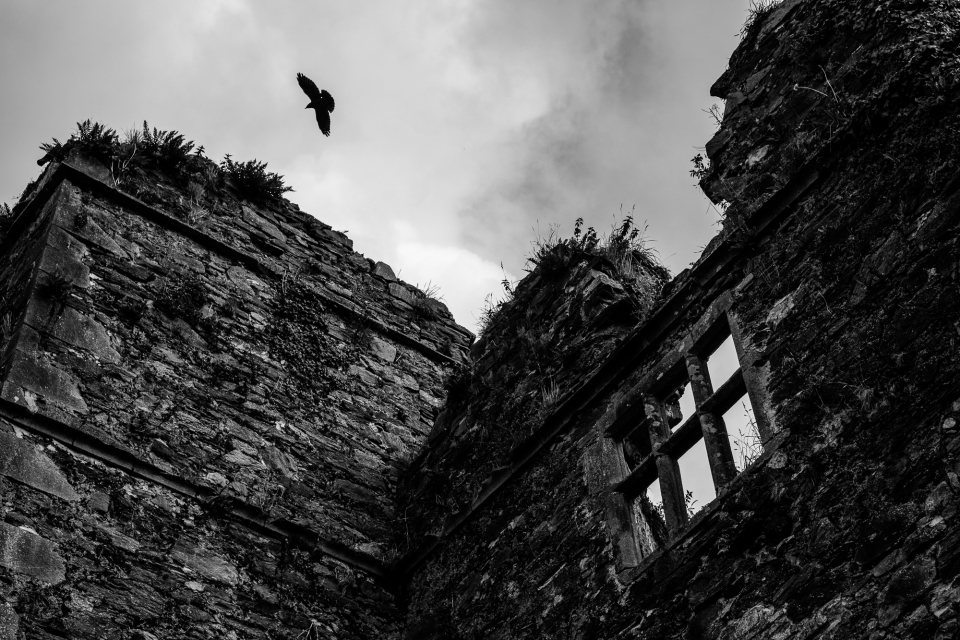 Hamilton Castle, Manorhamilton, County Leitrim. ACROS film simulation.