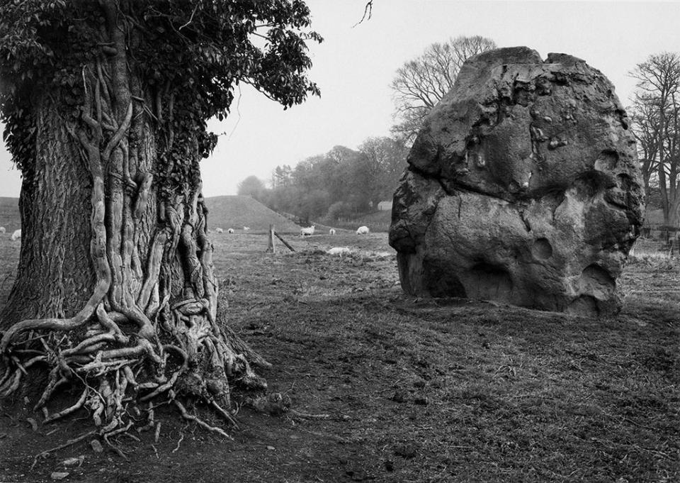 Stone and Tree, Avebury England, © 1967, Paul Caponigro
