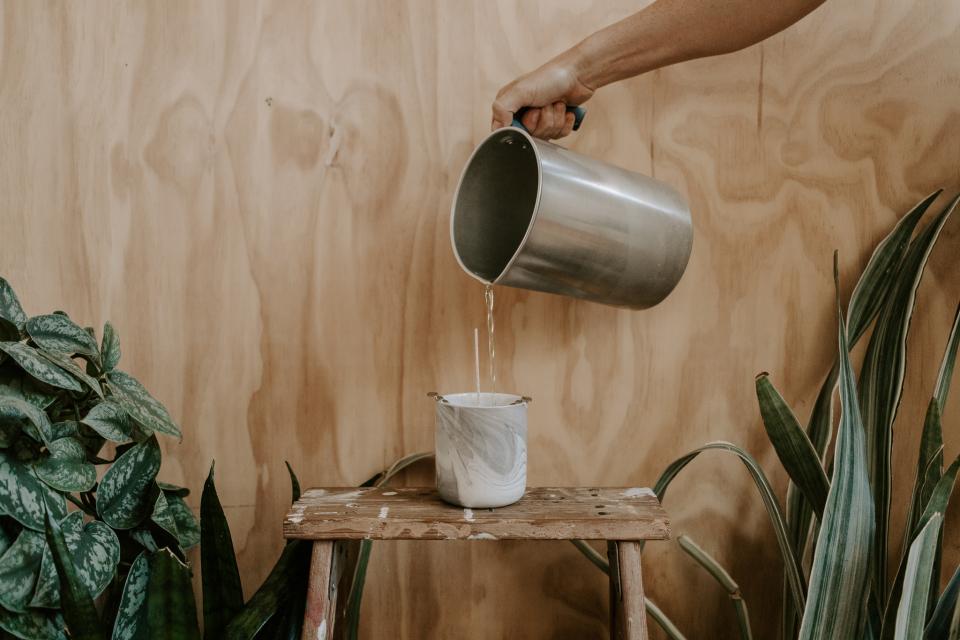 The Portland Studio