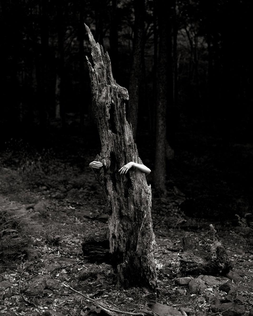 Limbs, Camp Holz, 1998 © George Holz
