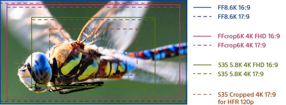 Crop diagram