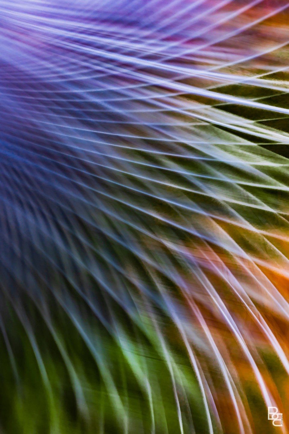 Image © Beth Buelow