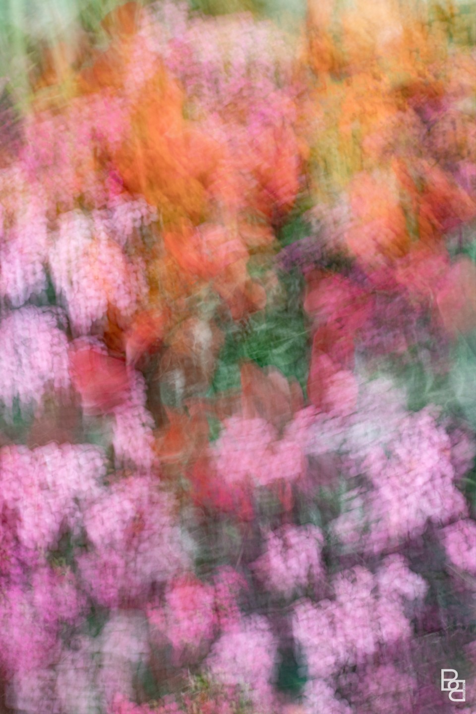 Image © Beth Buelow