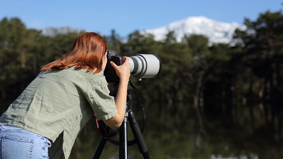 Picking a Lens for Birding and Wildlife Photography