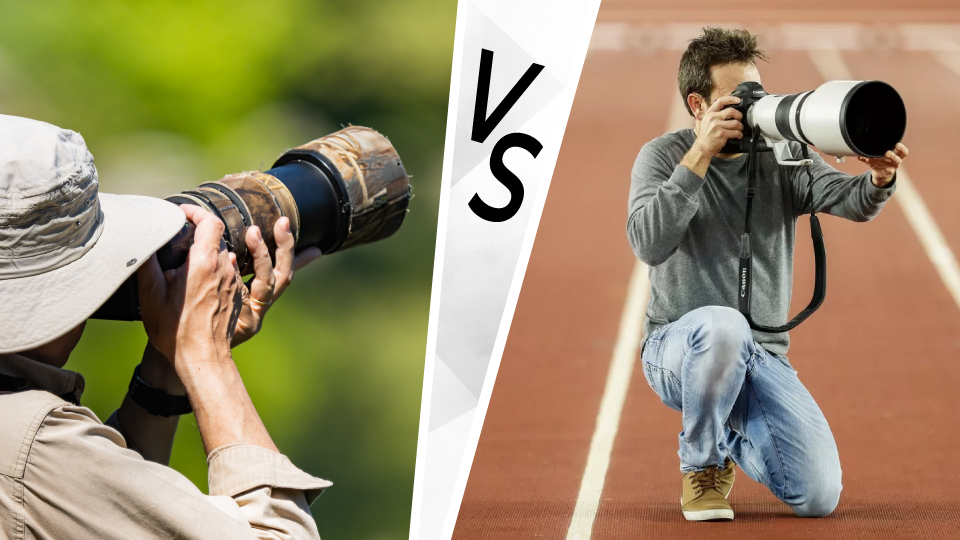 Sports vs. Wildlife: What Features to Look for in Telephoto Lenses