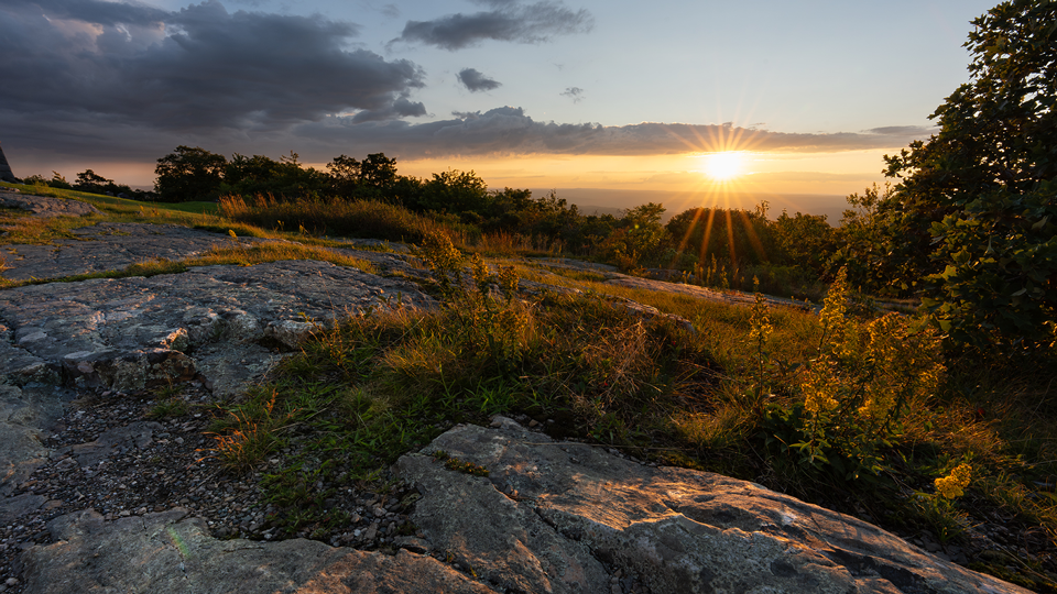 The Basics of Photography Composition