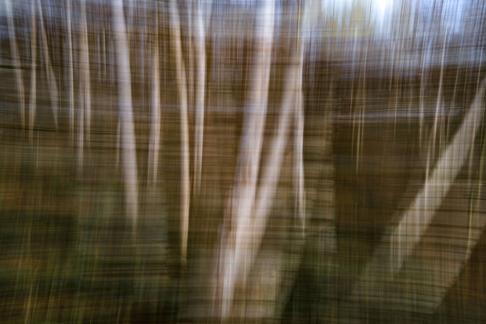 Image © Claudia Freyer