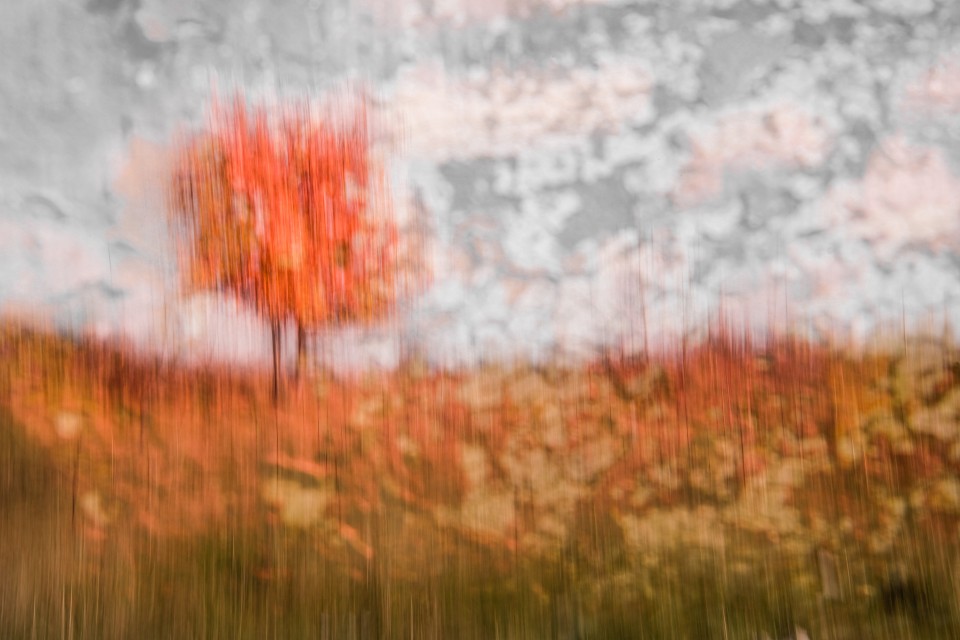 Image © Claudia Freyer