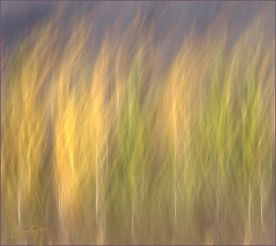 “On Fire” © Eileen Sklon