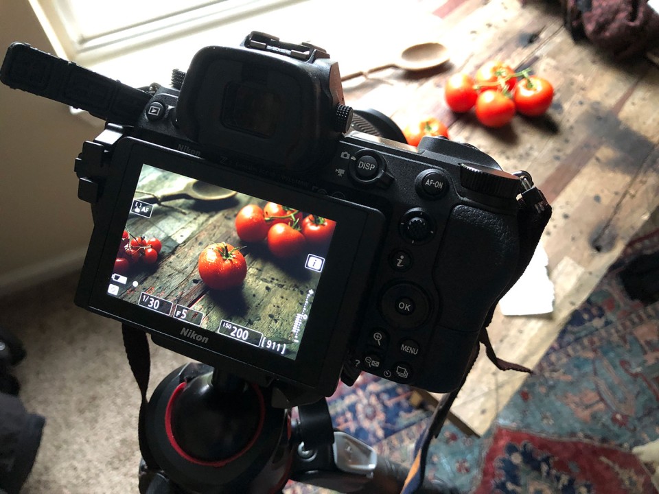 A tripod is essential when working with natural light. A ball head will allow the most flexibility framing your shot.