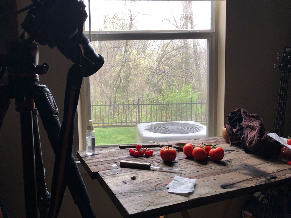 Find the brightest window available before setting up.