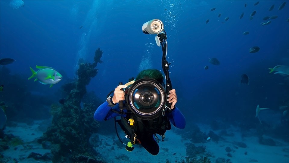 Underwater Videography: The Basics