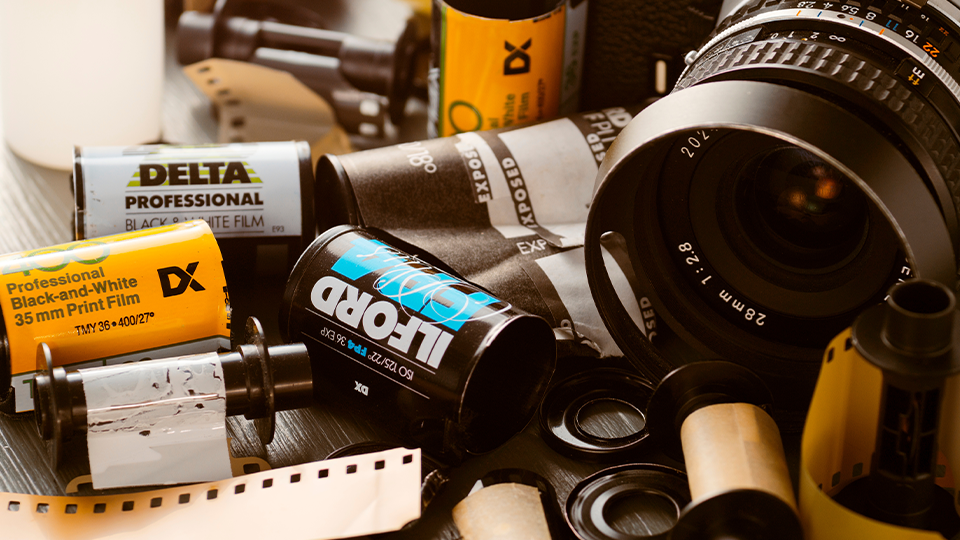 Black-and-White Film Roundup