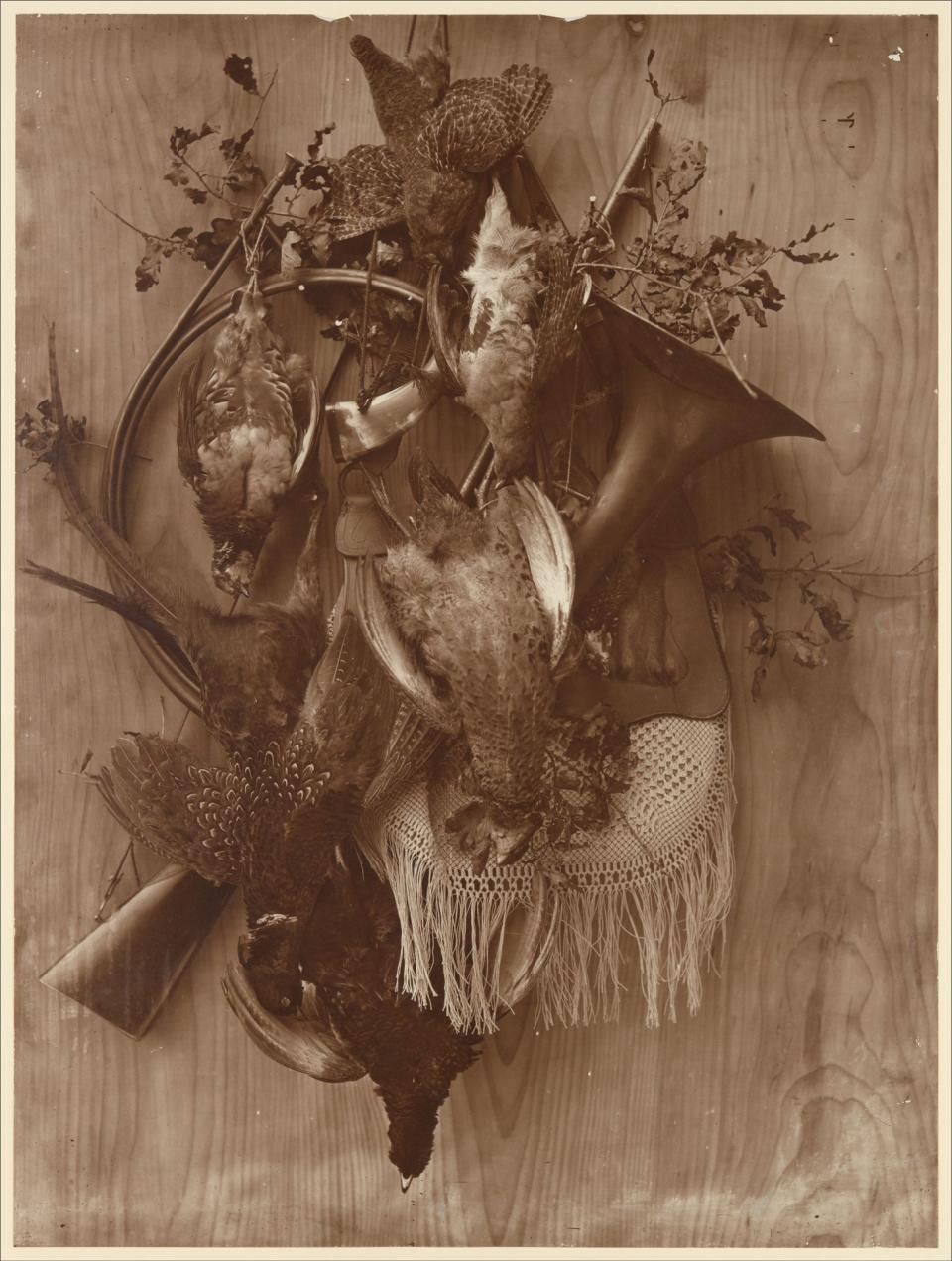 Adolphe Braun, Pheasant and Grouse, c. 1865, Carbon print. Courtesy of the Metropolitan Museum of Art.