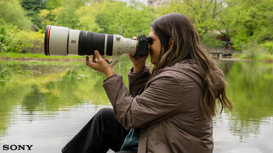 Wildlife Photography with the a7R VI Mirrorless Camera