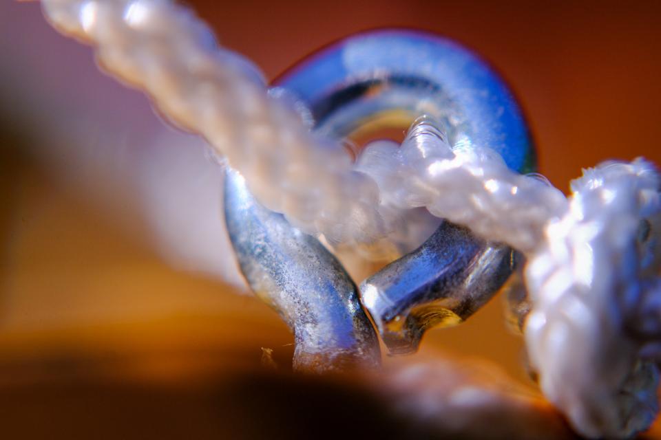 Eye detail