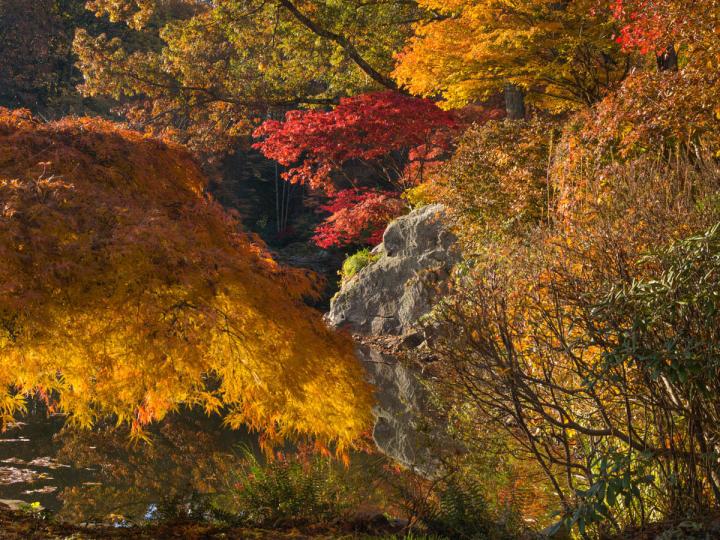 The Beckoning Path, Armonk, NY. Mirrored fall colors. © Larry Lederman