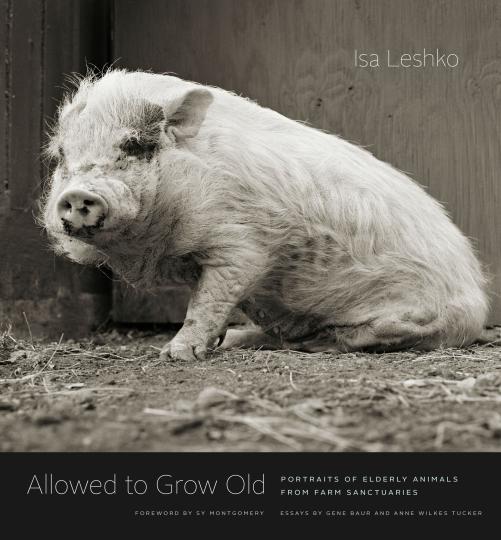 Book Cover of Allowed to Grow Old: Portraits of Elderly Animals from Farm Sanctuaries © Isa Leshko