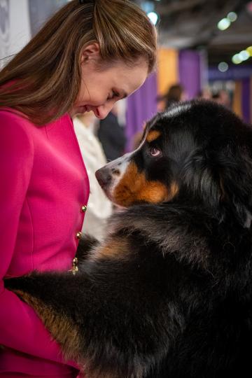 Westminster Kennel Club Dog Show. Photograph © Nancy Borowick, 2019