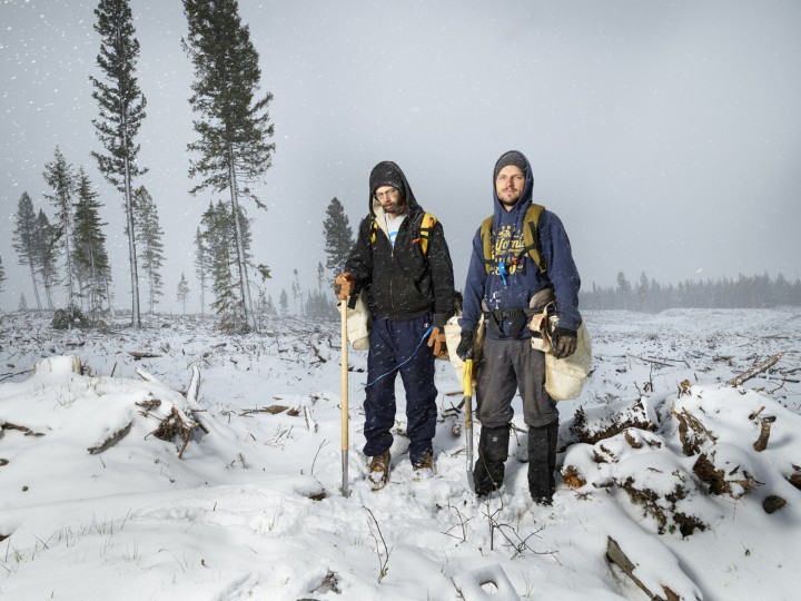 Andrew Dallas Blackstone (left) and Gene Williamson had to stop work during a rare summer snow, because they couldn’t see the seedlings. As soon as it melts, they’ll recommence.