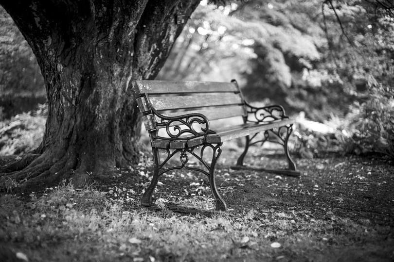Real photograph of wooden bench, from Allan Weitz’s park bench series